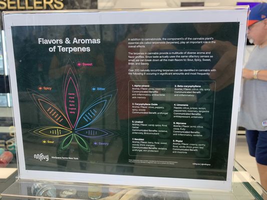 Strain Stars Cannabis Dispensary & Delivery by null