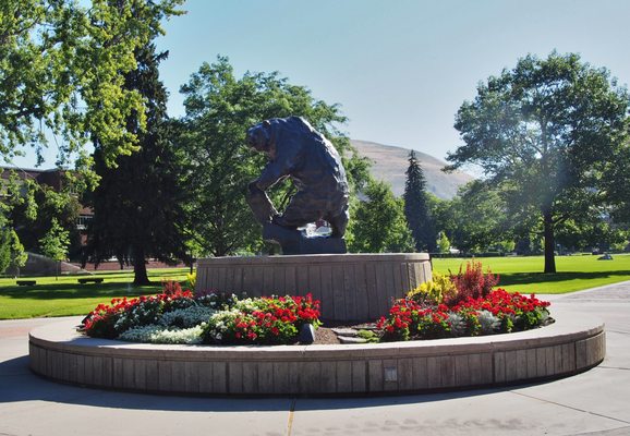 University of Montana by null