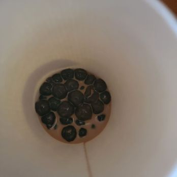 Boba Guys - Boba at the bottom of my hot drink, after I said no toppings in my espresso milk tea - Bubble Tea Near Me - Long Beach, California Boba Guys - Boba at the bottom of my hot drink, after I said no toppings in my espresso milk tea - Bubble Tea Near Me - Long Beach, California
