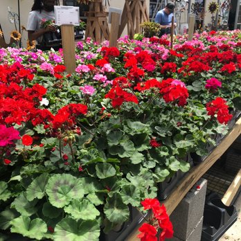 GREEN ACRES NURSERY & SUPPLY - Updated December 2024 - 133 Photos & 23