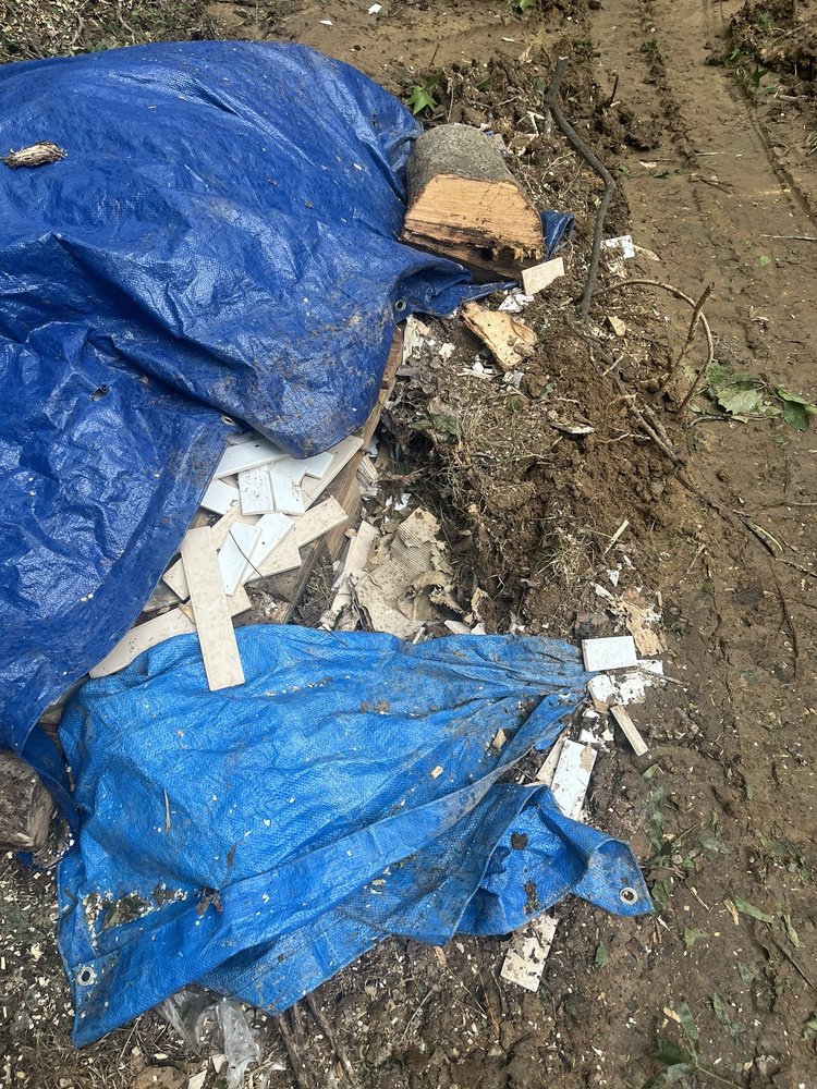 M&T Friendly Tree Service - tree service in Raleigh, NC