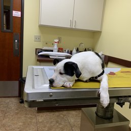 Exam room
