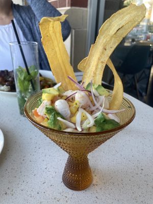 Buena Vista Heights by null