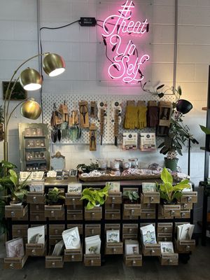 Dandy Lion Coffee Co. by null