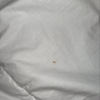 Residence Inn by Marriott Salem - Bed sheet - Hotels Near Me - Salem, Oregon Residence Inn by Marriott Salem - Bed sheet - Hotels Near Me - Salem, Oregon