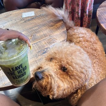 Black Sheep Coffee - Desserts Near Me - Dallas, Texas Black Sheep Coffee - Desserts Near Me - Dallas, Texas