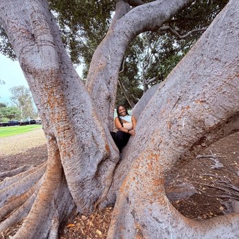 Balboa Park - Museums Near Me - San Diego, California Balboa Park - Museums Near Me - San Diego, California