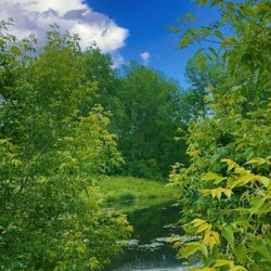 Carver Lake Park