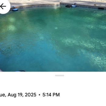 Riverline Pool Service - Our pool when Riverline Pool Service maintained it last year. This happened twice by their lowly trained technician. - Pool Cleaners Near Me - Essex, Connecticut Riverline Pool Service - Our pool when Riverline Pool Service maintained it last year. This happened twice by their lowly trained technician. - Pool Cleaners Near Me - Essex, Connecticut