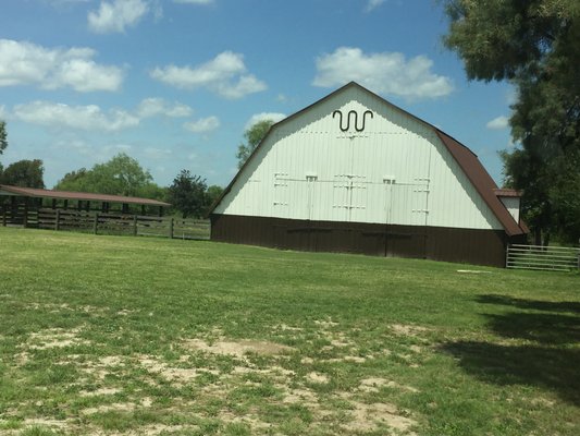 King Ranch by null