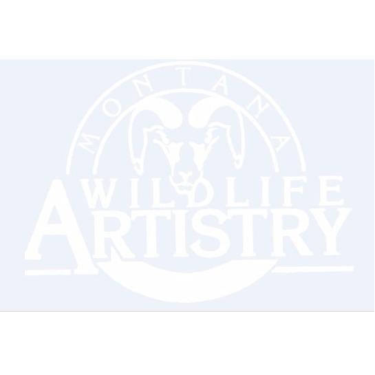 Montana Wildlife Artistry - taxidermy in Billings, MT