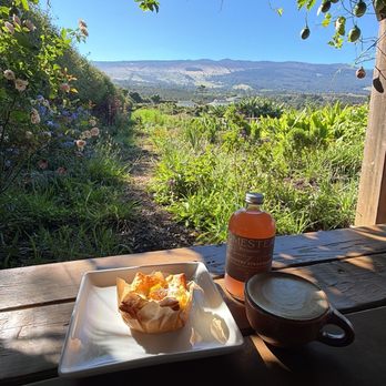 Homestead Maui - Bakeries Near Me - Kula, Hawaii Homestead Maui - Bakeries Near Me - Kula, Hawaii