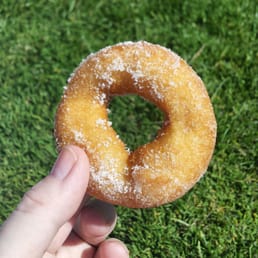 Doughnut