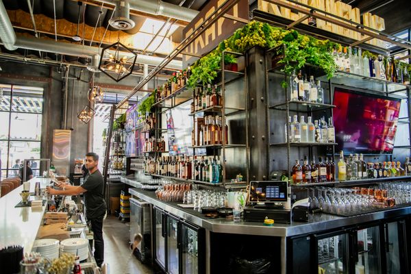Draft Republic San Marcos by null