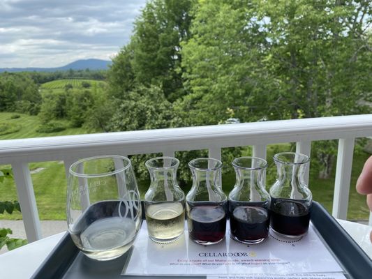 Cellardoor Winery by null