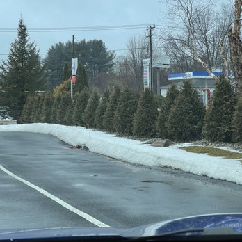 Dunkin' - Beautiful new landscaping! - A parking lot with a layer of snow along the edge and a row of evergreen trees separating it from a gas station in the background. The sky is overcast, and leafless trees are visible behind the evergreens. The photo appears to be taken from inside a vehicle. - Coffee & Tea Near Me - Tolland, Connecticut