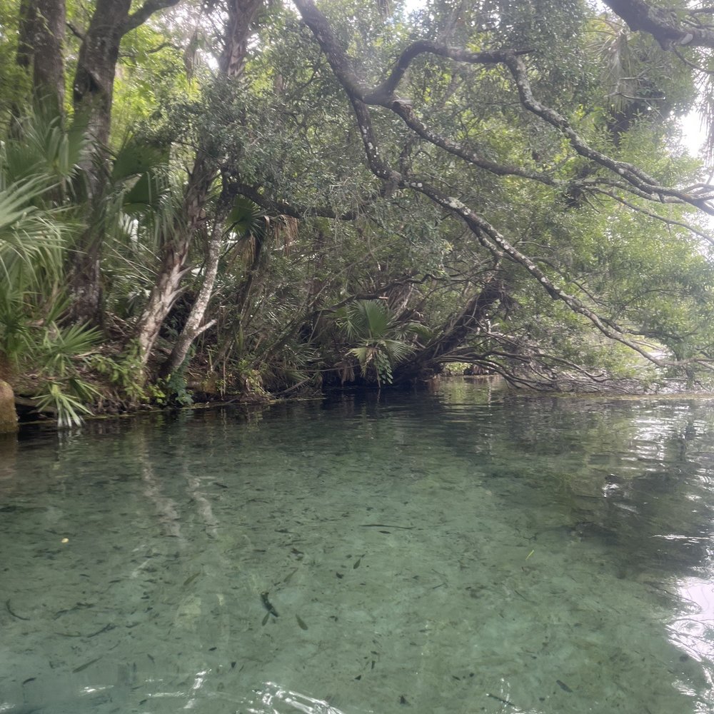 KP Hole - Boating Near Me - Dunnellon, Florida KP Hole - Boating Near Me - Dunnellon, Florida