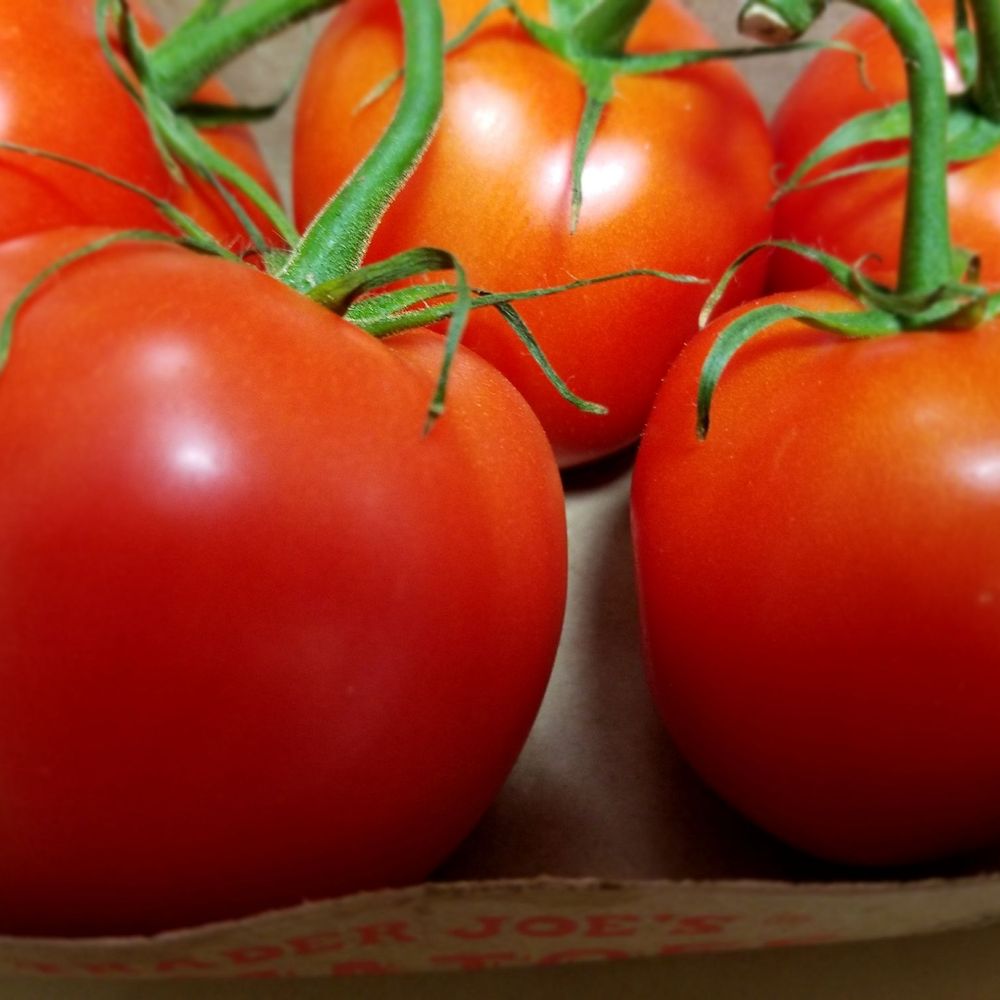 Trader Joe's - $1.99 for 6 Beautiful and might I say Delicious Tomatoes. They always have the freshest ingredients/produce - Grocery Near Me - Miami, Florida Trader Joe's - $1.99 for 6 Beautiful and might I say Delicious Tomatoes. They always have the freshest ingredients/produce - Grocery Near Me - Miami, Florida