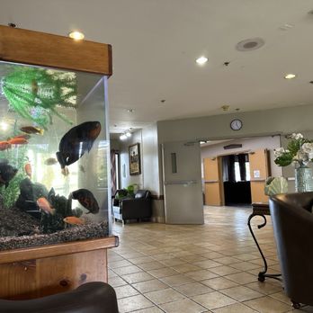 Courtyard Plaza Living - Main Reception Room. - Retirement Homes Near Me - Van Nuys, California Courtyard Plaza Living - Main Reception Room. - Retirement Homes Near Me - Van Nuys, California