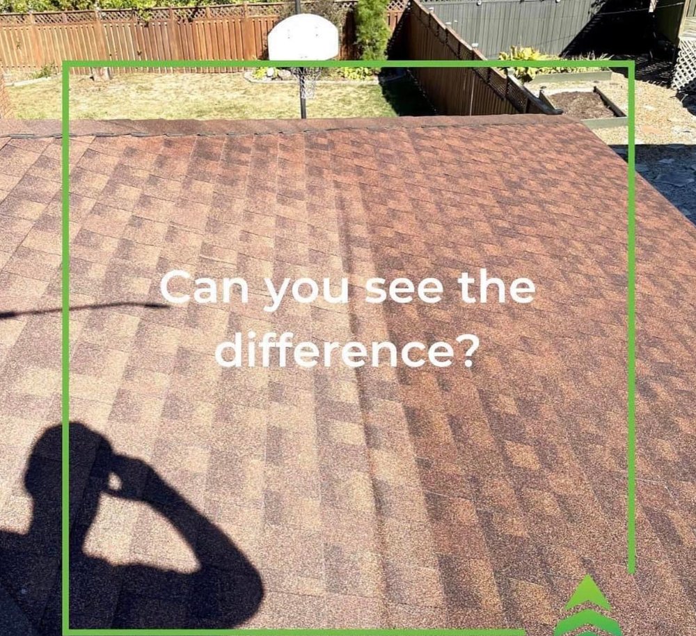 Slide of Bright Green Roof