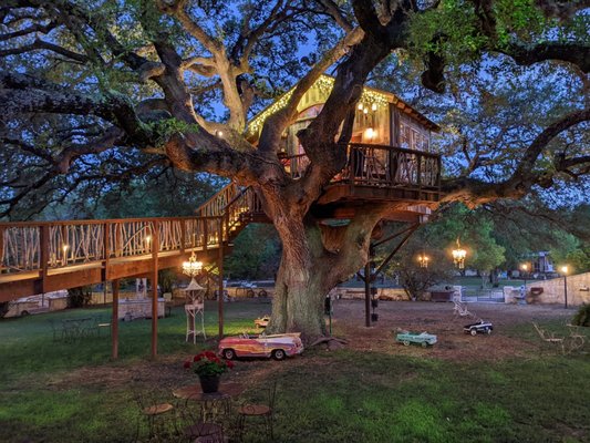 The Laurel Tree by null