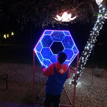 Tianyu Lights Festival - Festivals Near Me - Phoenix, Arizona Tianyu Lights Festival - Festivals Near Me - Phoenix, Arizona