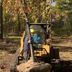 Cox & Company Inc Tree and Landscape Services