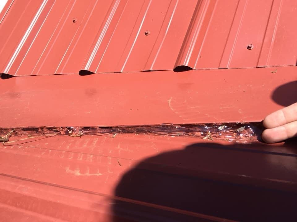 Slide of Salter's Construction