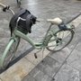 Photo of Bizi Tour Malaga