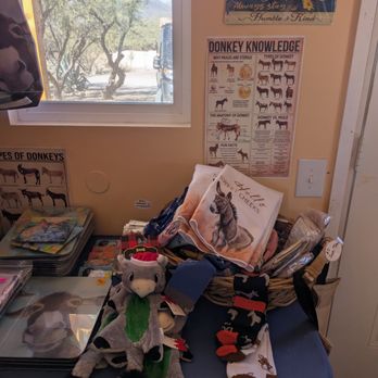 Forever Home Donkey Rescue and Sanctuary - Animal Shelters Near Me - Benson, Arizona