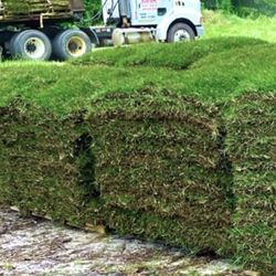 Allied Sod Farms - Our sod