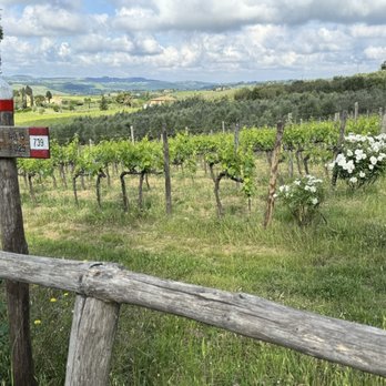 Fattoria San Michele a Torri - Tuscany - Wineries Near Me - Scandicci, PO Fattoria San Michele a Torri - Tuscany - Wineries Near Me - Scandicci, PO