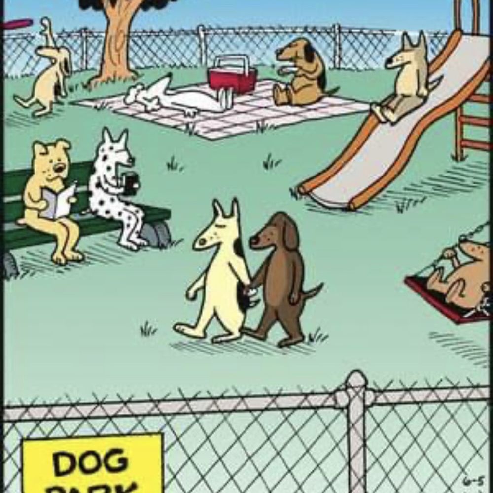 Timber Ridge, a Linden Community - Dog park - Apartments Near Me - Fredericksburg, Virginia Timber Ridge, a Linden Community - Dog park - Apartments Near Me - Fredericksburg, Virginia
