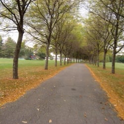 Tree lined road to the pool...