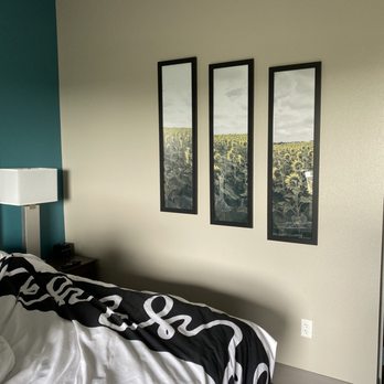 La Quinta by Wyndham - Sunflower frames - Hotels Near Me - West Memphis, Arkansas