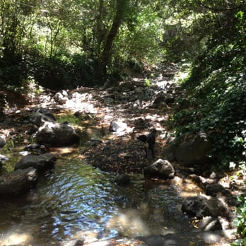 Bridgeview Trail - Right where it meets the dimond trail. - Dog Parks Near Me - Oakland, California