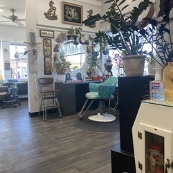 Dark Horse Hair - Salon area