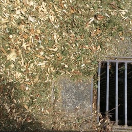 Not only dropped in street but here is the drain. Not only dropped in street but here is the drain.