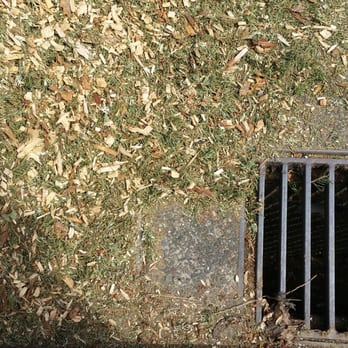 Inexpensive Tree Care - Not only dropped in street but here is the drain. - Tree Services Near Me - Warren, Oregon