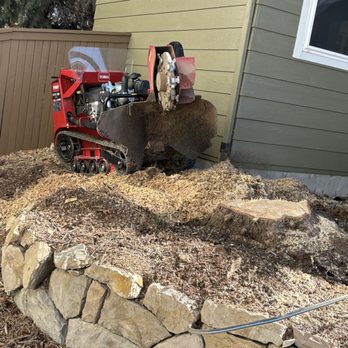 Goldstar Tree & Stump Grinding - Tree Services Near Me Goldstar Tree & Stump Grinding - Tree Services Near Me
