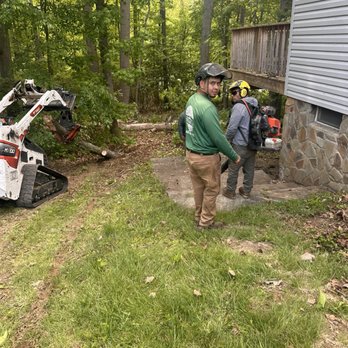 Orellana Tree Service - Tree Services Near Me - Bel Air, Maryland Orellana Tree Service - Tree Services Near Me - Bel Air, Maryland