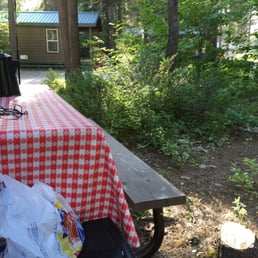 Camp sites overgrown with weeds. Camp sites overgrown with weeds.