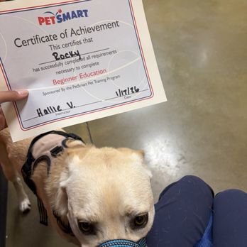 PetSmart Dog Training - Rocky graduated begging training with the amazing Haille! - Pet Training Near Me - Tucson, Arizona