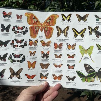 Cockrell Butterfly Center - Museums Near Me - Houston, Texas