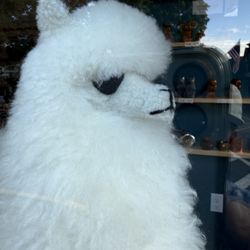 Peruvian Link Alpaca Collection - Oh that expression.