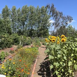 Rosarium Garden Center