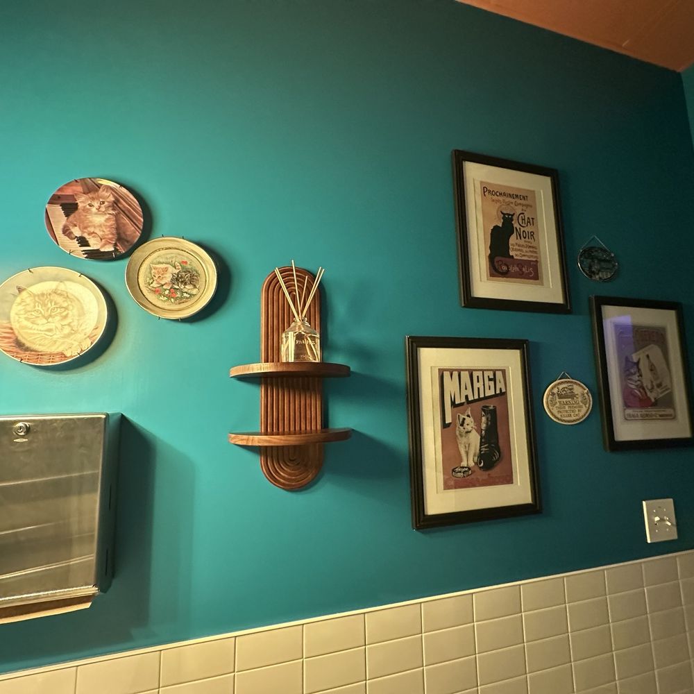 Big Cat - Decor in bathroom - Mediterranean Near Me - Raleigh, North Carolina Big Cat - Decor in bathroom - Mediterranean Near Me - Raleigh, North Carolina