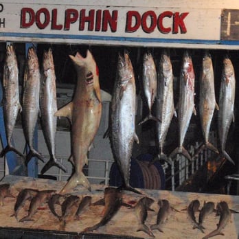 Dolphin Dock - Big Catches - Fishing Near Me - Port Aransas, Texas Dolphin Dock - Big Catches - Fishing Near Me - Port Aransas, Texas