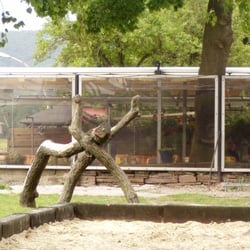 Spielplatz - neben dem Duftgarten