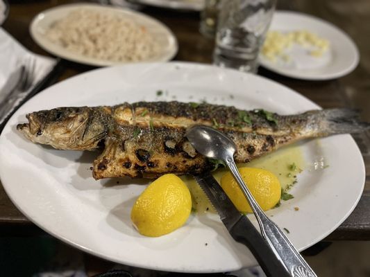 Agnanti by null Agnanti by null